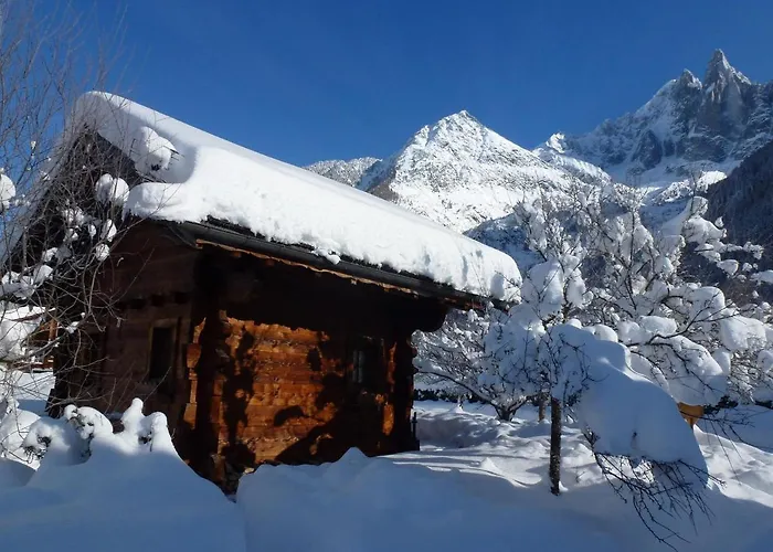 Mazot Avec Jardin, Animaux Admis, Parking, Wifi - Fr-1-343-215 Chalet Chamonix