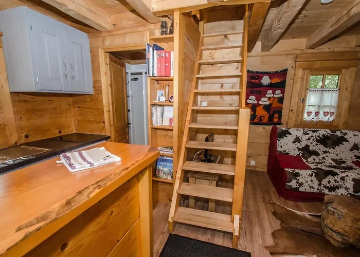 Mazot Avec Jardin, Animaux Admis, Parking, Wifi - Fr-1-343-215 Chalet Chamonix